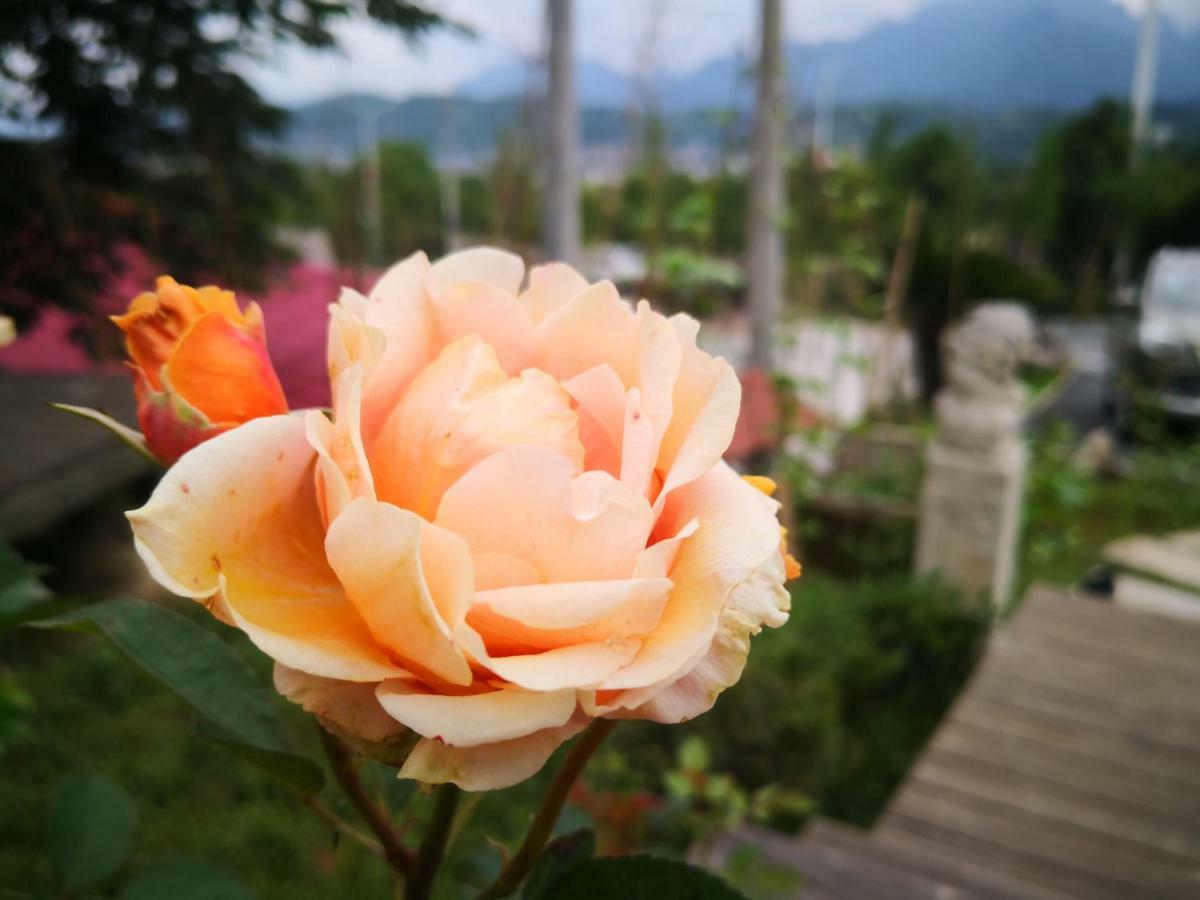 Dao Bian Inn Zhangjiajie Exteriör bild
